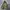 N2B Type Military Bomber Jacket photo 4