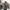 N2B Type Military Bomber Jacket photo 2
