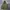 N2B Type Military Bomber Jacket photo 1