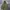 N2B Type Military Bomber Jacket