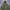 N2B Type Military Bomber Jacket photo 3