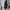 Black coquette fairy vintage midi dress photo 2