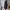 Black Coquette Fairy Vintage Midi Dress