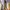 Flower Vintage Maxi Skirt photo 1