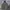 Military Shoft Shell Outdoor Jacket photo 3