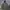 Military Shoft Shell Outdoor Jacket photo 1