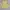 Vintage Female Floral Embroidery Yellow Shirt photo 1