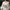 Vintage Female Floral Embroidery Yellow Shirt photo 7