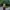 Vintage Female Floral Embroidery Yellow Shirt photo 6