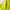 Lime green mini shirt dress photo 3