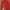Tracktop lecoq sportif photo 2