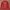Tracktop lecoq sportif photo 1