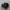 nike tn photo 1