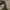 Hoodie vans small logo second photo 4