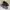 Adidas Y-3 Yohji Yamamoto KAIWA Sneakers Black FX0909 ( Size