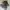 Adidas Y-3 Yohji Yamamoto KAIWA Sneakers Black FX0909 ( Size photo 3