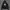 Hoodie timberland big logo second photo 1