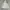 Partimento Boxy Canvas Jacket photo 1