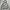 HOODIE CARHARTT LOOSE FIT photo 1