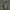 Hoodie Grooverhyme Camo Taped Second