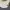 Hoodie kappa taped second photo 3
