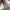 Hoodie kappa taped second photo 4