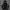 Hoodie Dickies Taped Second