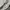 Acne Studios Logo  Zip Hoodie Misty Grey  photo 6