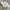 Crocs High White W8 photo 1