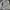 Chevignon Bikers Utility Jacket with Stand Collar & Zip Pock photo 3