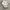 Crocs High White W6