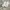 Crocs Classic White M9W11  photo 2