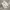 Crocs Classic White M9W11  photo 1