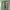 Classical Elf Slim Skinny Jeans photo 5