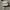 Crocs Classic White J3 photo 3