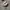 Crocs Classic White J3 photo 1