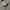 Crocs Classic White J3 photo 2