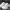 Nike Sportswear Sneakers Pria white photo 1