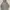 hoodie nike small logo photo 1