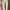H&M Casual Casual Pants Pria Tan