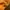 Winbdreaker kappa list photo 6