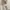 BASIC KNITWEAR SWEATER RAJUT TEXTURE  photo 2