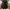 Seditionaries Assymetrical Mad Girl Punk Acid Jazz Long Jack photo 3