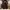 Seditionaries Assymetrical Mad Girl Punk Acid Jazz Long Jack photo 2