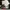 Seditionaries Assymetrical Mad Girl Punk Acid Jazz Long Jack photo 6