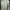 Brukat warna cream panjang size xs tangan terompet photo 1