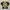 Y2K Fox Racing Longsleeve Trail Jersey