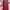 Balenciaga Luxury Casual Wallet Wanita red photo 5