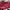 Balenciaga Luxury Casual Wallet Wanita red photo 4