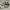 Nike Sneakers photo 1